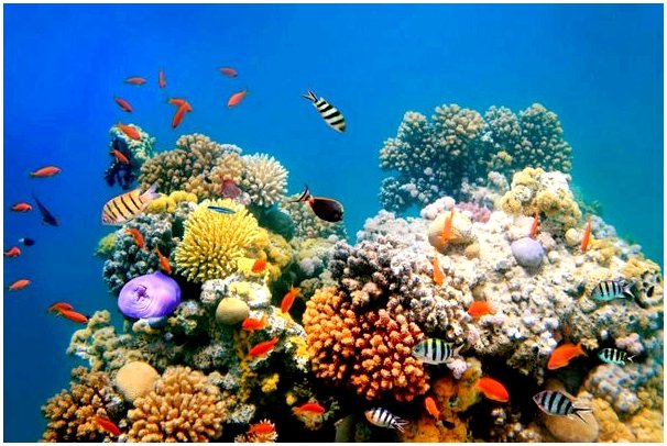 По данным науки, в океане содержится не менее 200000 новых типов различных вирусов.