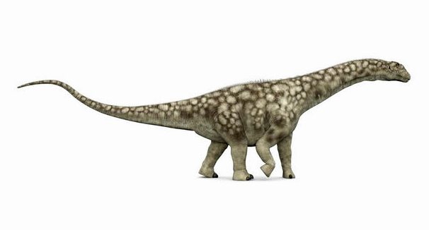 Аргентинозавр: самый большой динозавр, который когда-либо существовал
