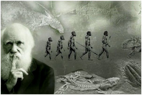 Чарльз Дарвин и мир: важные отношения