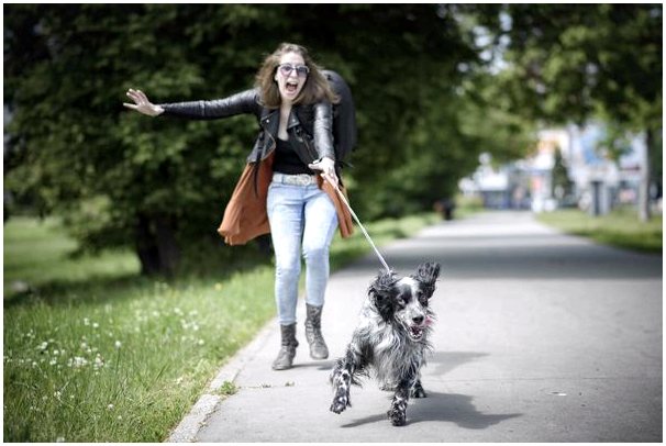 Ежедневные прогулки: пять советов, как поднять настроение вашей собаке