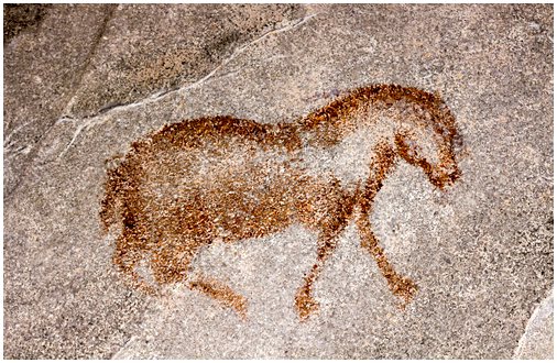 Они обнаруживают замерзшую доисторическую лошадь