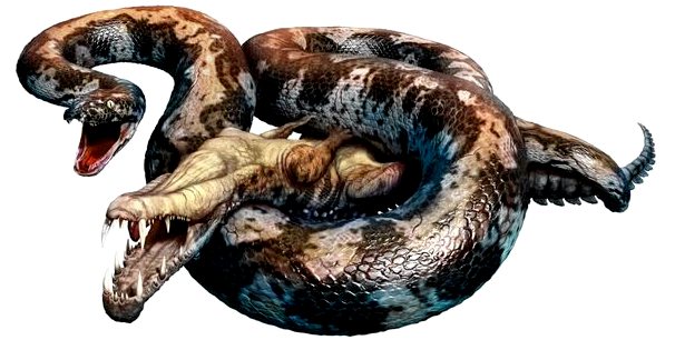 Титанобоа: самая большая змея в мире