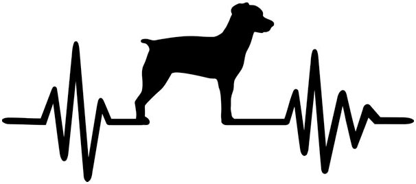 Как следует измерять пульс собаки?