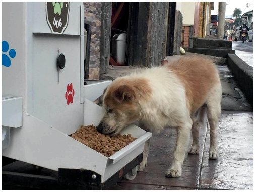 В Испании уже есть автомат по продаже кормов для домашних животных.