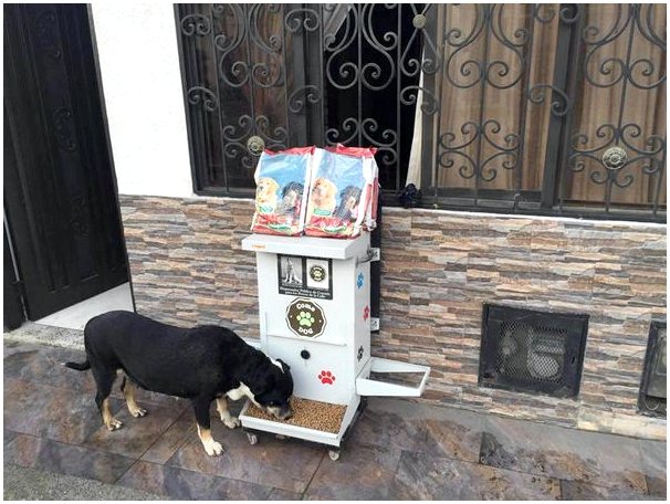В Испании уже есть автомат по продаже кормов для домашних животных.