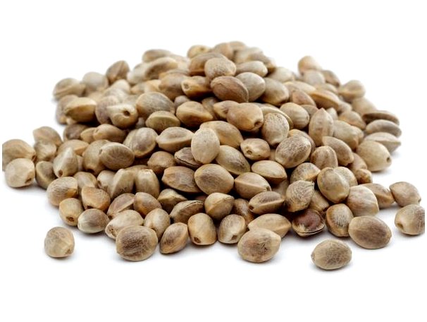 Семена конопли: чем они полезны для домашних животных?